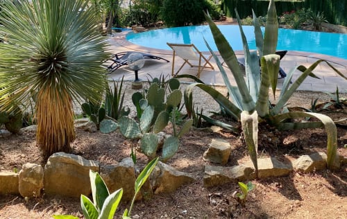 Piscine et jardin exotique