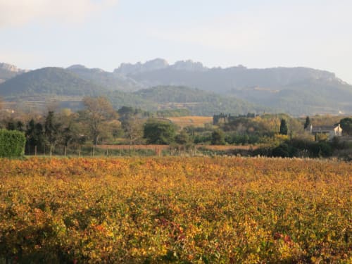 Les dentelles de Montmirail