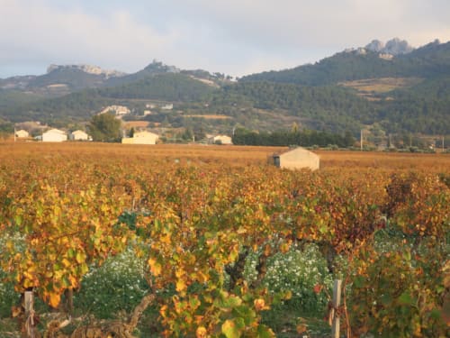 Les dentelles de Montmirail