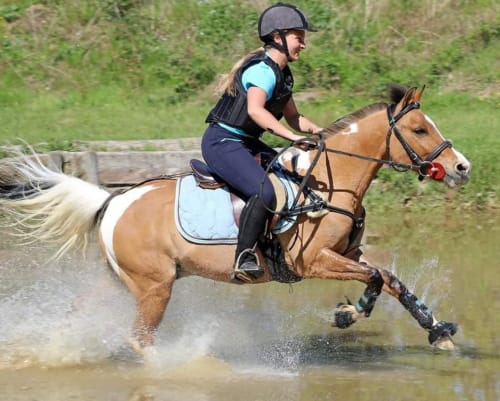 Balade à cheval - Equitation - Activités vacances près de Toulouse - La maison du verger