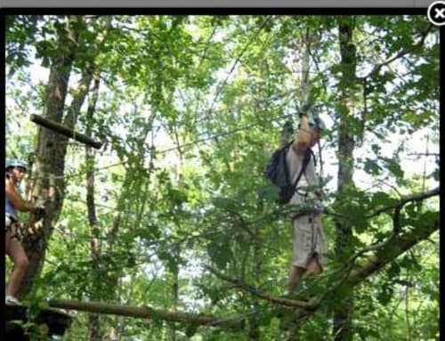 Accrobranche Montech - Activités séjour dans le Sud-Ouest - La maison du verger - Castelsarrasin