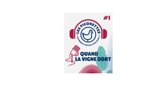 Quand la vigne dort - Podcast Les picorettes - Chambres d'hôtes et gîte - Vaux-en-Beaujolais - Clochemerle