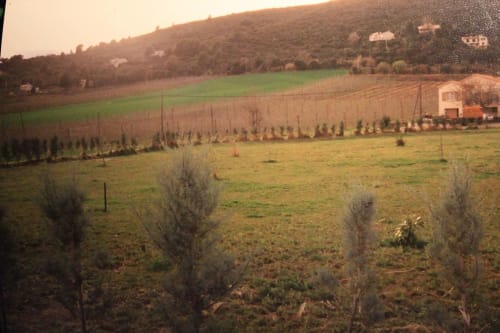 Photo historique du Jardin - Gîtes le Pimayon - Manosque