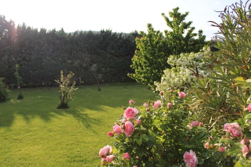 Photo du jardin avec fleurs et lauriers - Gîtes le Pimayon