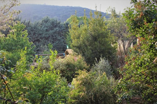 Photo du sommet du jardin - Gîtes le Pimayon - Lubéron