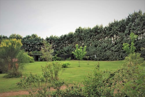 Photo du jardin avec le poulailler \ Gîtes le Pimayon