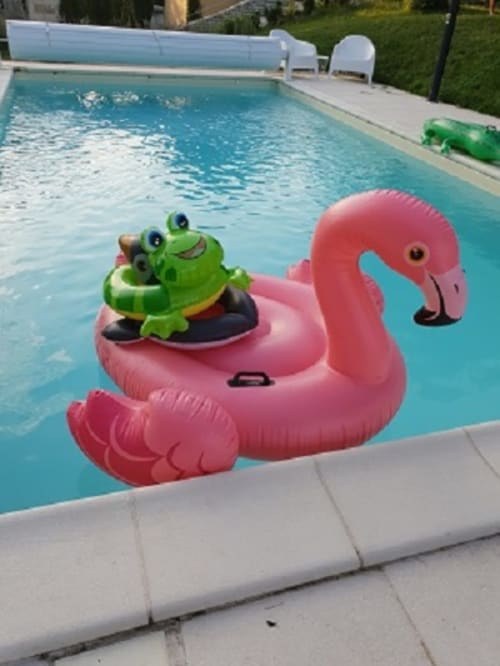 Maison d'hôtes avec piscine dans la Vienne - Domaine de Bourgville