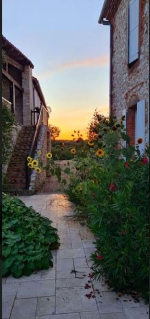 Charmante ruelle à la maison d'hôtes Le Pignié à Lescure-d'Albigeois avec tournesols et fleurs au coucher du soleil