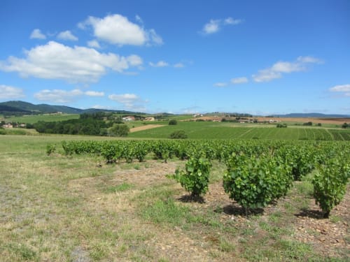 S'échapper dans les vignobles du Beaujolais