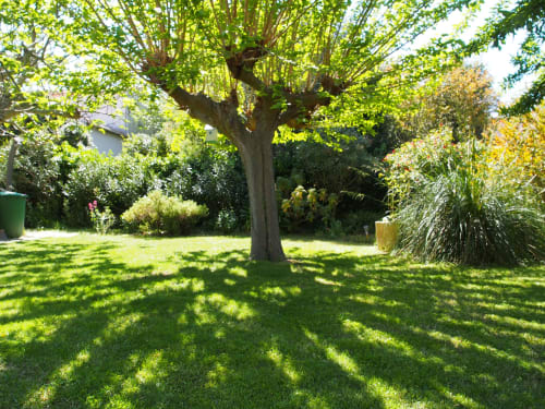 Arbre, villa Bell'Mar, appartement et maison à Mèze.