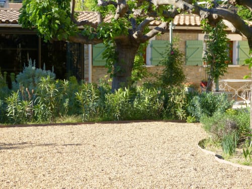 Gravel courtyard garden with mature tree and Mediterranean plants at Villa Thébaïde cottage in Laudun L'Ardoise