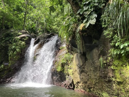 location appartement vacances martinique cascade
