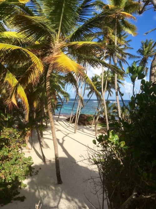 location appartement vacances anse Michel martinique
