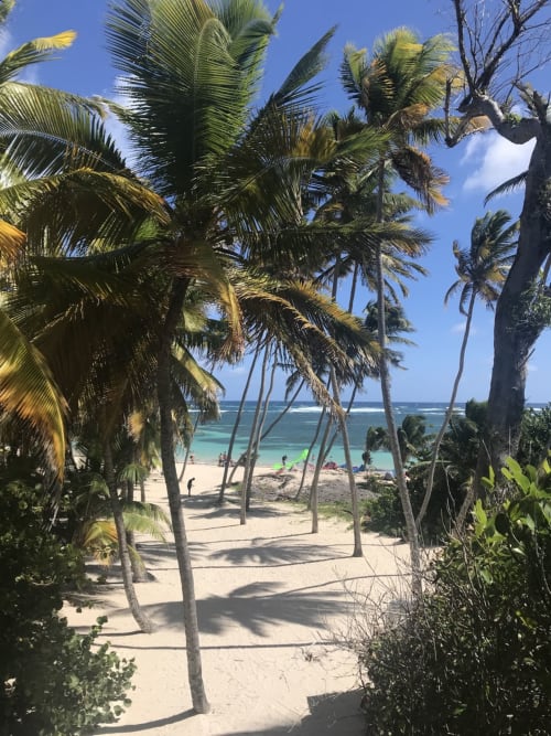 location appartement vacances le marin martinique
