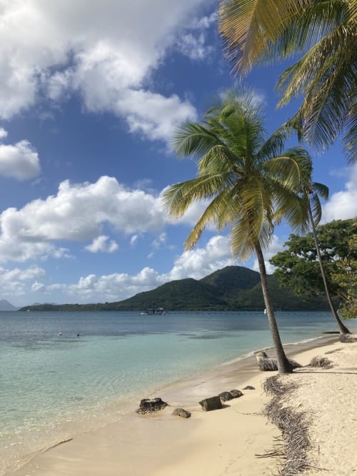 location vacances appartement martinique les salines
