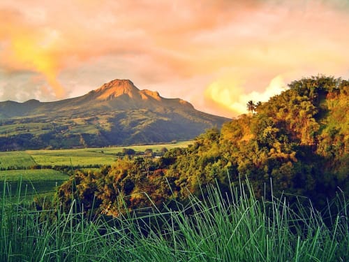 site location vacances martinique
