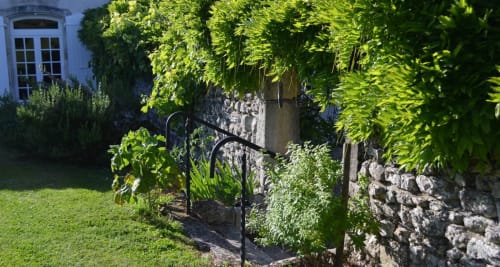 Parc - Chambres d'hôtes Logis de Chenac - Gironde, Charente-Maritime - 