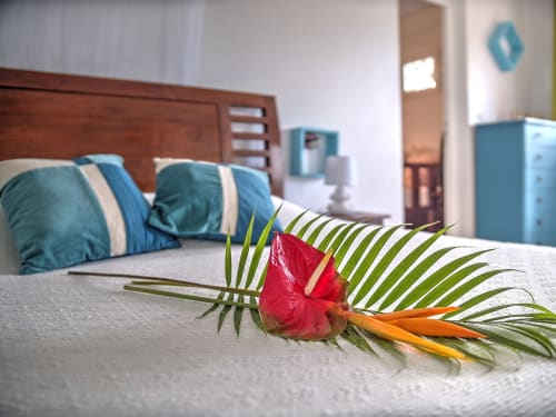 location saisonniere a sainte anne martinique Tobago 
