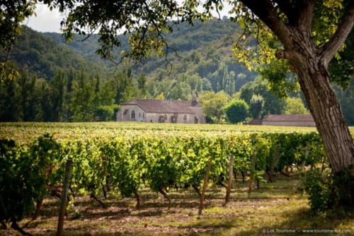 visit vineyard notre dame de luezch Cahors - Bed and breakfast Conquans Figeac - The lot
