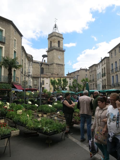 Région sud est de la France,Hérault, séjour et vacances, logement de tourisme, Villa Bell'Mar. 
