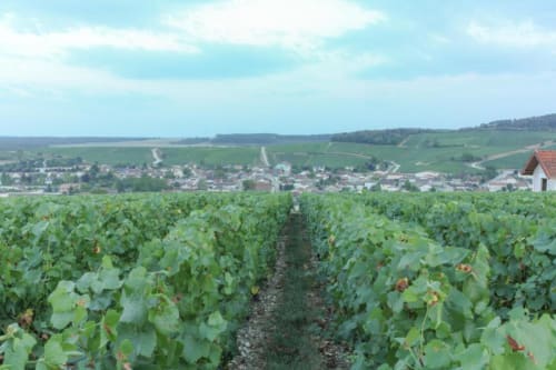 Une parenthèse en Champagne - Séjour en Champagne -
