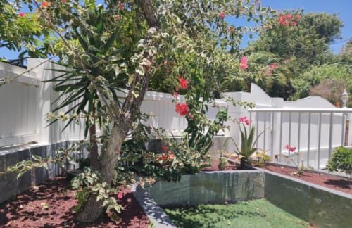 Location villa 10/12 personnes avec terrasse - Saint Joseph | Villa Areca