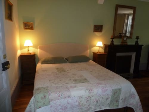 Elegant bedroom at Château De Clusors B&B in St Menoux with queen bed, green walls, nightstands with lamps, and fireplace