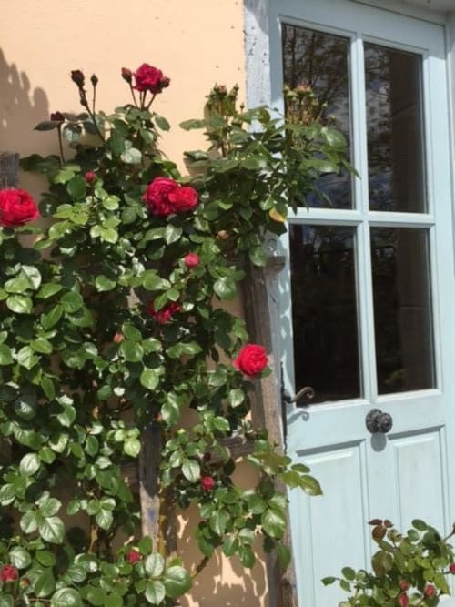 La Maison de la Borde - Ferienwohnung mit Pool - Auf dem Land - Südfrankreich - Villesiscle - Carcassonne 