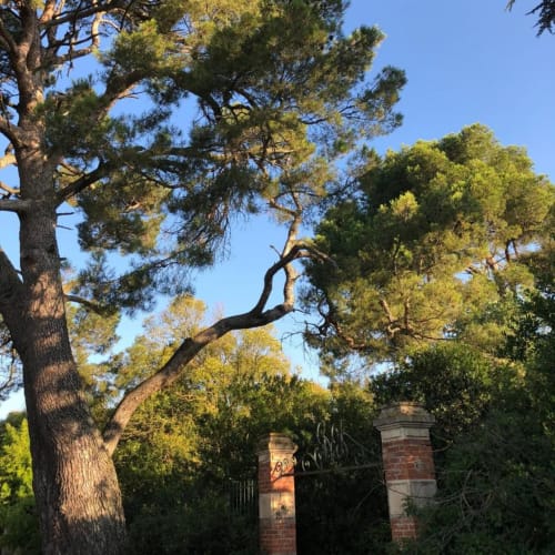 Park - Ferienwohnungen - Domaine de la Forçate - Villesiscle - Aude - Occitanie - France