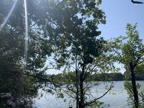Lac du Domaine de la Briandais | Pays de la Loire