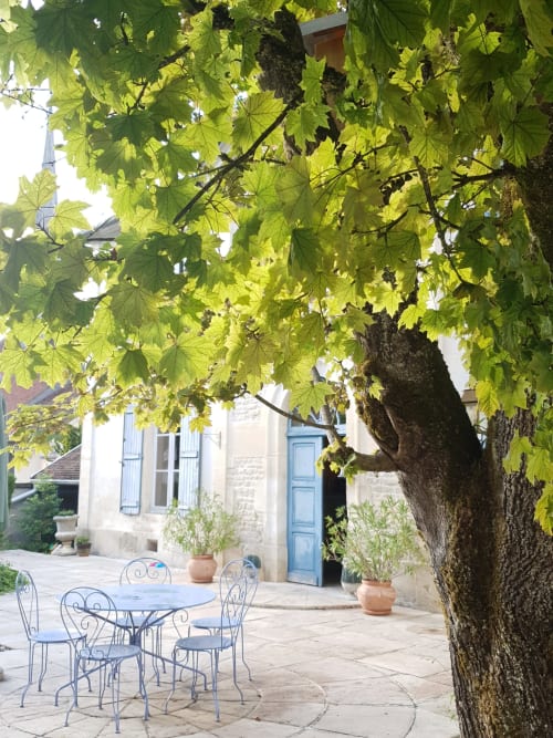 Une parenthèse en Champagne - Chambres d'hôtes près de Clairvaux