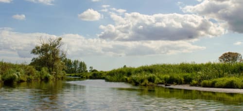 Parc naturel régional de Brière | Domaine de la Briandais
