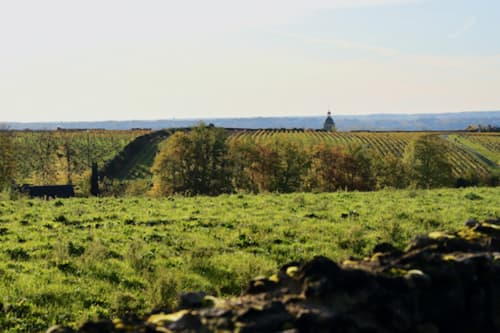 Vignobles du Vouvray | Maison d'hôtes Le Gaimont 