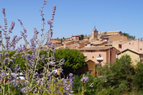 Lavande en Provencen, Visite dans le Luberon, promenade aux alentours, Mas d'Ange en Provence.