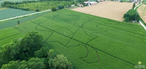 La Selce Farmhouse, Labirinto di Mais, giochi per bambini e adulti, fattoria didattica in Friuli Venezia Giulia