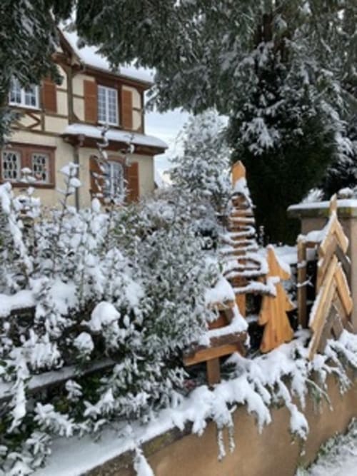 Snow-covered evergreens and wooden fence at Le Clos d'Azel B&B in Alsace, France winter setting