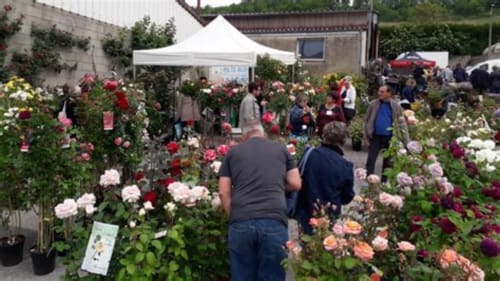 Une parenthèse en Champagne - chambres d'hôtes proche journée des plantes à Bergères