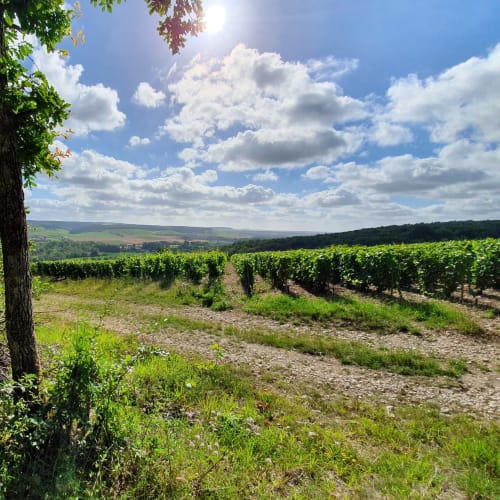Une parenthése en Champagne - Où dormir vignoble champenois
