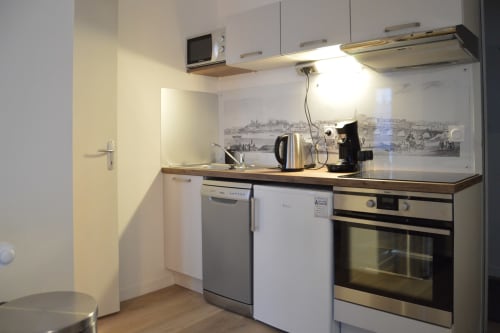Modern kitchen in Gîte Des Cygnes cottage at Locacharme, Blois with stainless steel appliances and river view backsplash