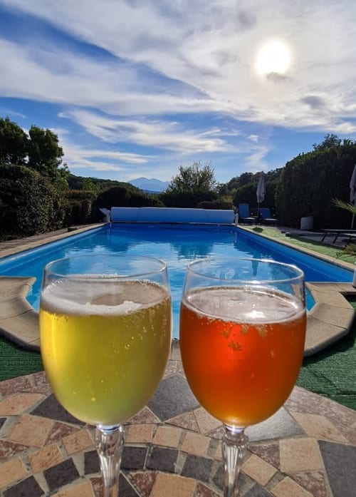 holidays, Ariège, swimming-pool