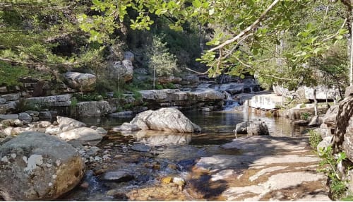 Aïtone Forest | Villa Un Sognu