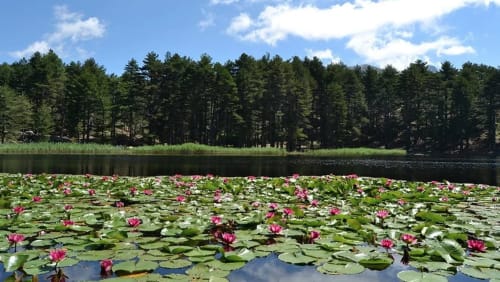 Lac de Creno | Villa Un Sognu
