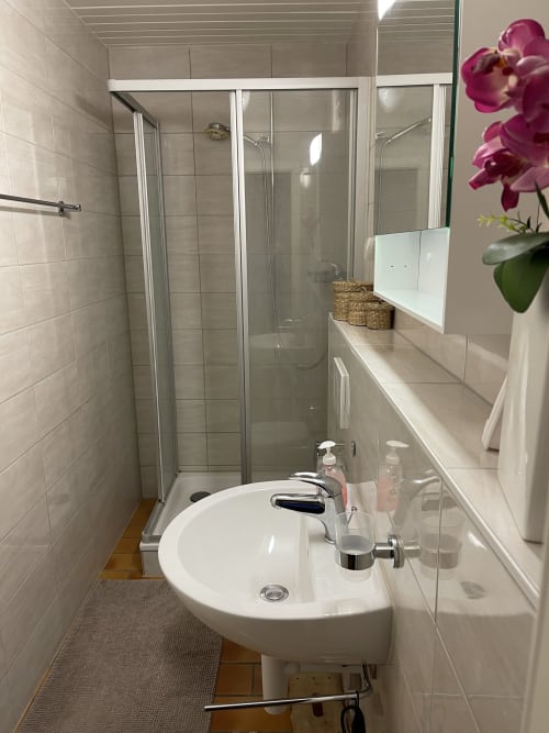 Modern shared bathroom at Au P'tit Bonheur B&B cottage with glass shower enclosure, white sink, and pink orchid flowers in