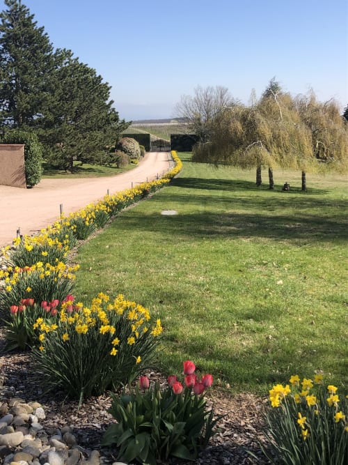 Frühling