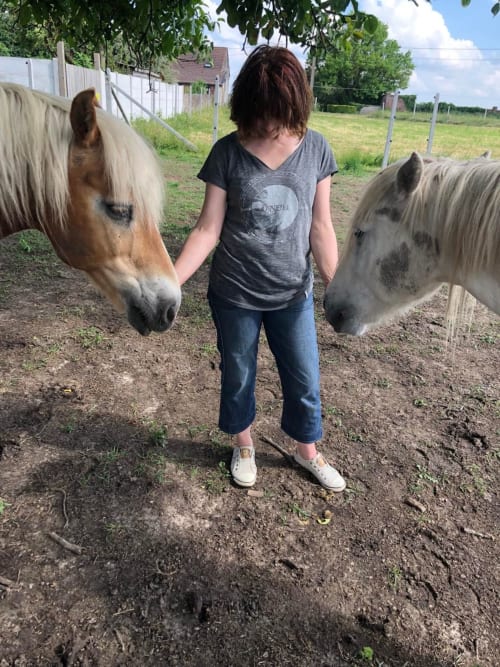 Equicoaching brugelette