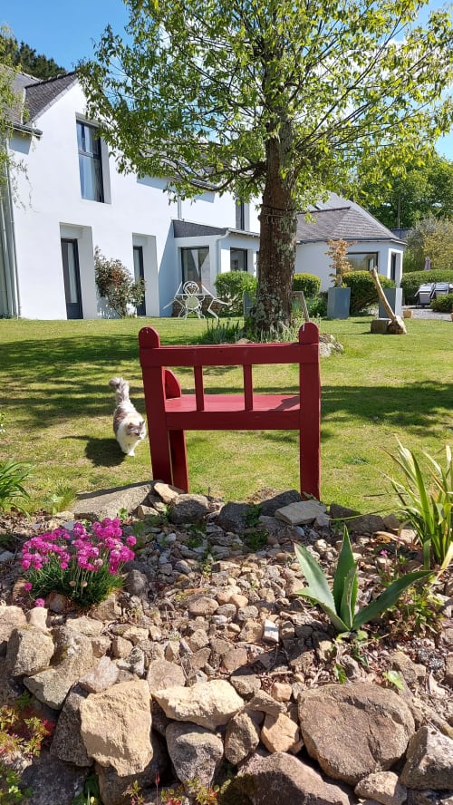 Ty Coz Breizh, chambres d'hôtes situées à Lorient, Bretagne Sud, avec le chat de la maison se détendant dans le jardin verdoyant, près d'un joli banc en bois, créant une ambiance chaleureuse et conviviale.