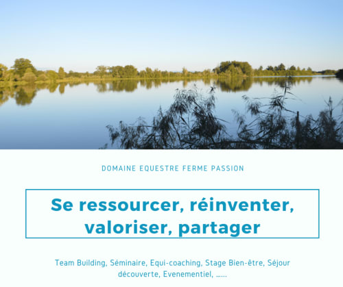 Paysage lacustre tranquille à Ferme Passion avec arbres reflétés dans une eau calme, pour séminaires et retraites bien-être