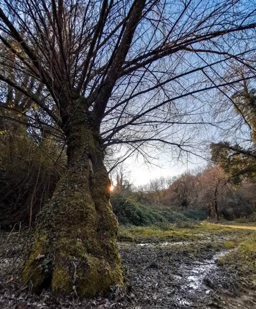 Corte Buenavista | appartamenti con vista sulle colline di Rieti, al confine tra Lazio e Umbria. Piscine private, salotto e cucina, bagno con doccia. Relax in mezzo alla natura, attivitá all'aperto.