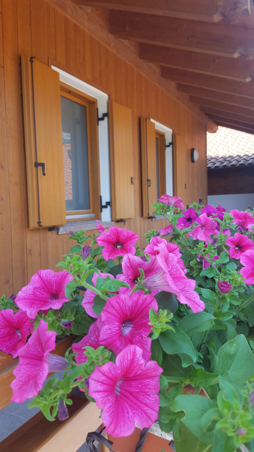 Camera singola | Agritur Clementi, camera singola, Trentino, verde, ampio bagno privato con doccia, televisore a parete, Wifi, appendiabiti, asciugacapelli, balcone con vista sul giardino.