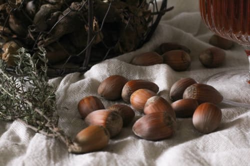 Noisettes, Chambre d'hôtes, Clermont Dessous, Les terrasses de Bessou.